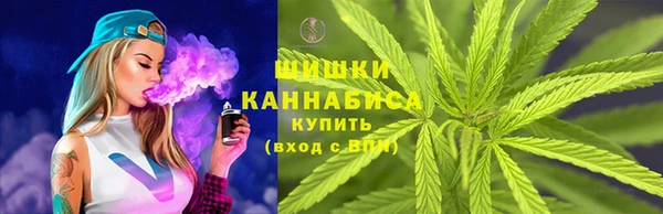 прущие грибы Лихославль