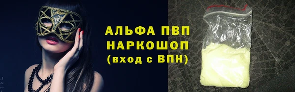 хмурый Касимов