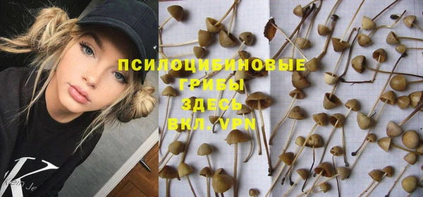 ГАЛЛЮЦИНОГЕННЫЕ ГРИБЫ Каменск-Шахтинский
