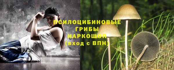 дживик Липки