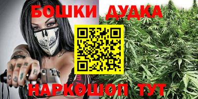 2c-b Будённовск