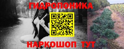 спиды Будённовск