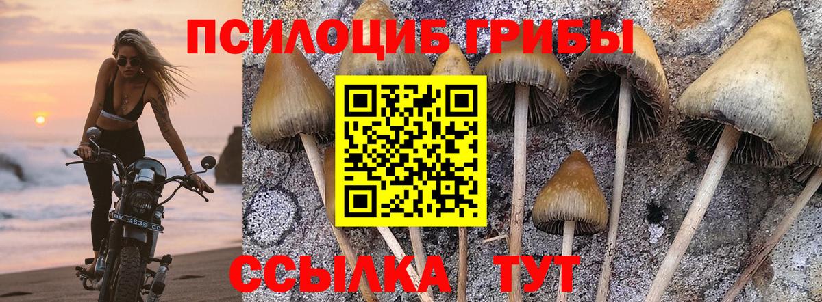 Псилоцибиновые грибы GOLDEN TEACHER Железногорск